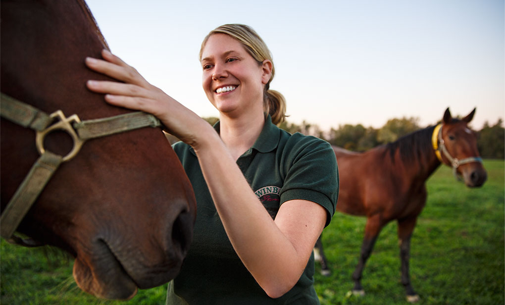 Woman petting a horse